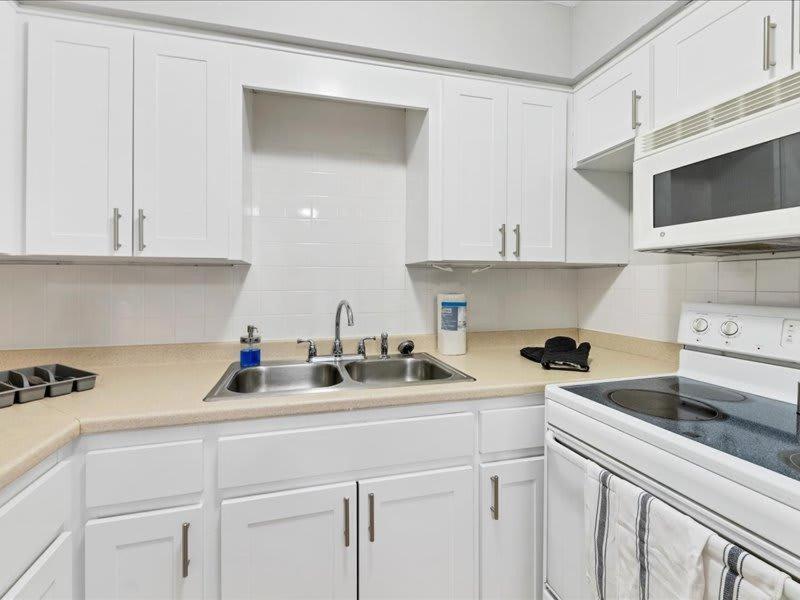 Designed And Cozy 1Br With Parking Near Stores Tampa Exterior foto